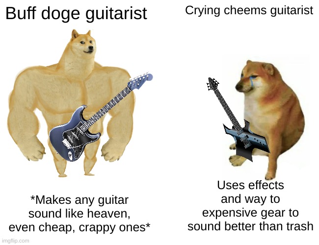 buff doge vs cheems | Buff doge guitarist; Crying cheems guitarist; Uses effects and way to expensive gear to sound better than trash; *Makes any guitar sound like heaven, even cheap, crappy ones* | image tagged in guitars | made w/ Imgflip meme maker