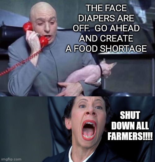 Masks | THE FACE DIAPERS ARE OFF.  GO AHEAD AND CREATE A FOOD SHORTAGE; SHUT DOWN ALL FARMERS!!!! | image tagged in dr evil and frau | made w/ Imgflip meme maker