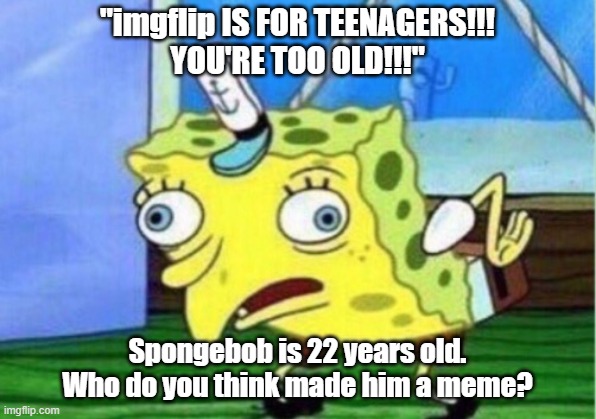 Mocking Spongebob | "imgflip IS FOR TEENAGERS!!!
YOU'RE TOO OLD!!!"; Spongebob is 22 years old. Who do you think made him a meme? | image tagged in memes,mocking spongebob | made w/ Imgflip meme maker