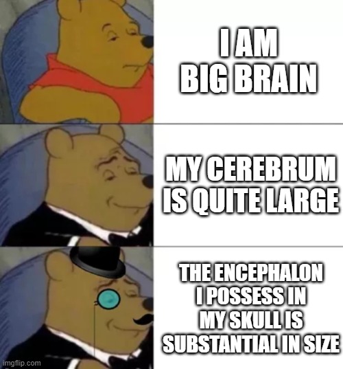 Fancy pooh | I AM BIG BRAIN; MY CEREBRUM IS QUITE LARGE; THE ENCEPHALON I POSSESS IN MY SKULL IS SUBSTANTIAL IN SIZE | image tagged in fancy pooh | made w/ Imgflip meme maker
