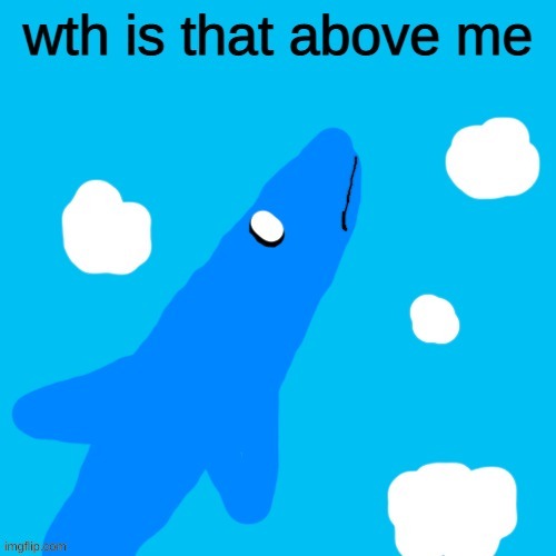 Aircraft Shark wth is that above me | image tagged in aircraft shark wth is that above me | made w/ Imgflip meme maker
