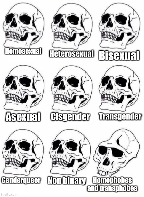 They are idiots | Heterosexual; Homosexual; Bisexual; Transgender; Asexual; Cisgender; Non binary; Homophobes and transphobes; Genderqueer | image tagged in memes,idiot skull,homophobe,transphobe | made w/ Imgflip meme maker