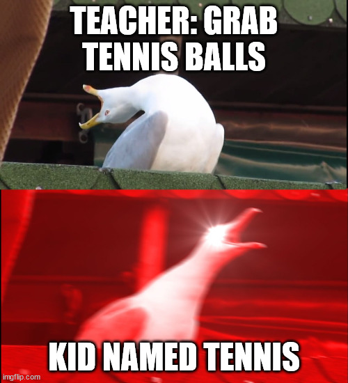 Oof | TEACHER: GRAB TENNIS BALLS; KID NAMED TENNIS | image tagged in screaming bird | made w/ Imgflip meme maker