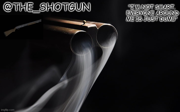 High Quality Yet another temp for shotgun Blank Meme Template