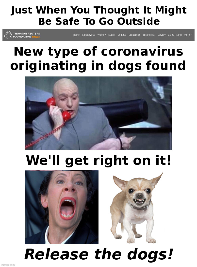 Canine Coronavirus! | image tagged in coronavirus,dr evil,covid,dog,hysteria,chihuahua | made w/ Imgflip meme maker