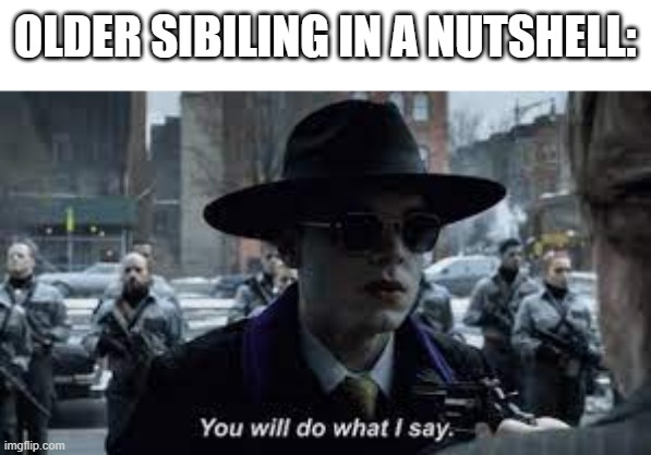 growingupwithsiblings | OLDER SIBILING IN A NUTSHELL: | image tagged in memes,funny memes,funny | made w/ Imgflip meme maker