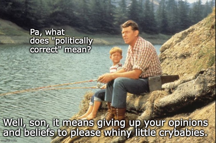 Andy and Opie | Pa, what does "politically correct" mean? Well, son, it means giving up your opinions and beliefs to please whiny little crybabies. | image tagged in andy and opie,politically correct,sjw | made w/ Imgflip meme maker