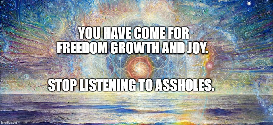 Philosophy, Spirituality, and Liberty | YOU HAVE COME FOR FREEDOM GROWTH AND JOY. STOP LISTENING TO ASSHOLES. | image tagged in philosophy spirituality and liberty | made w/ Imgflip meme maker