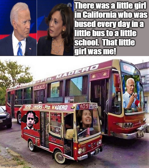 mama bus and baby bus | There was a little girl
in California who was
bused every day in a
little bus to a little
school.  That little
girl was me! | image tagged in political humor,joe biden,kamala harris,school bus,segregation,little girl | made w/ Imgflip meme maker