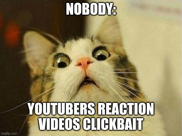 Scared Cat | NOBODY:; YOUTUBERS REACTION VIDEOS CLICKBAIT | image tagged in memes,scared cat | made w/ Imgflip meme maker