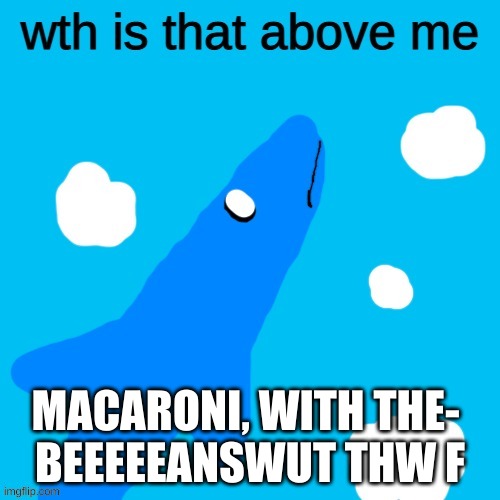 Aircraft Shark wth is that above me | MACARONI, WITH THE- 
BEEEEEANSWUT THW F | image tagged in aircraft shark wth is that above me | made w/ Imgflip meme maker