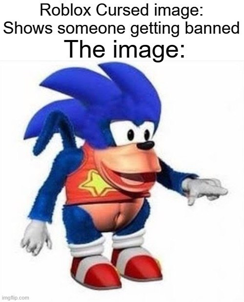Roblox | The image:; Roblox Cursed image: Shows someone getting banned | image tagged in roblox,roblox meme,sonic the hedgehog,sonic | made w/ Imgflip meme maker