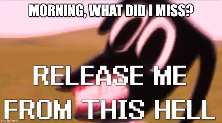 Release Me From This Hell | MORNING, WHAT DID I MISS? | image tagged in release me from this hell | made w/ Imgflip meme maker