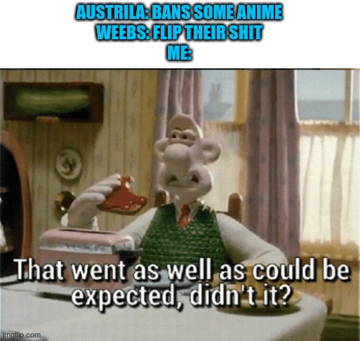 Went as bloody expected | AUSTRILA: BANS SOME ANIME
WEEBS: FLIP THEIR SHIT
ME: | image tagged in went as expected | made w/ Imgflip meme maker