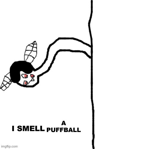 Carlos I SMELL BLANK | A PUFFBALL | image tagged in carlos i smell blank | made w/ Imgflip meme maker