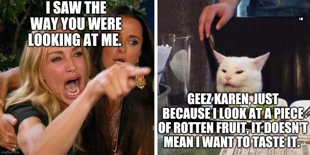 Smudge the cat | I SAW THE WAY YOU WERE LOOKING AT ME. J M; GEEZ KAREN, JUST BECAUSE I LOOK AT A PIECE OF ROTTEN FRUIT, IT DOESN'T MEAN I WANT TO TASTE IT. | image tagged in smudge the cat | made w/ Imgflip meme maker