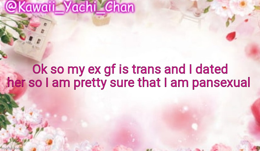 Yachi's follower temp | Ok so my ex gf is trans and I dated her so I am pretty sure that I am pansexual | image tagged in yachi's follower temp | made w/ Imgflip meme maker