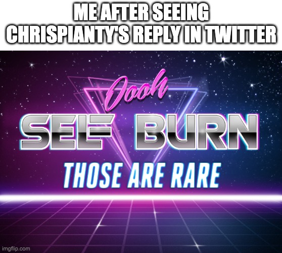 Self burn | ME AFTER SEEING CHRISPIANTY'S REPLY IN TWITTER | image tagged in self burn | made w/ Imgflip meme maker