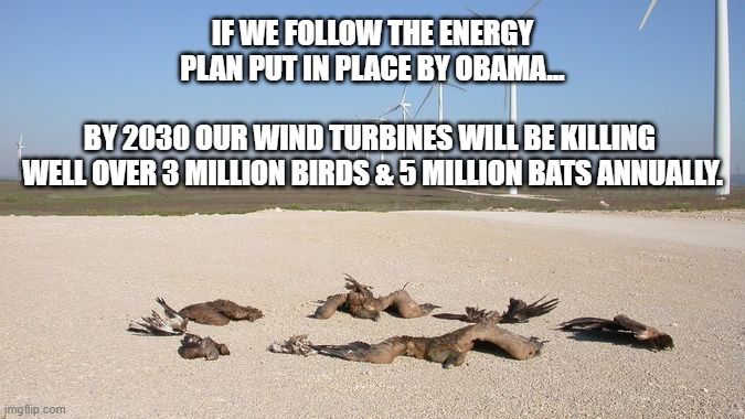 Nothing Environmental About it | IF WE FOLLOW THE ENERGY PLAN PUT IN PLACE BY OBAMA...
 
BY 2030 OUR WIND TURBINES WILL BE KILLING 
WELL OVER 3 MILLION BIRDS & 5 MILLION BATS ANNUALLY. | image tagged in birds,wind turbines,green new deal | made w/ Imgflip meme maker