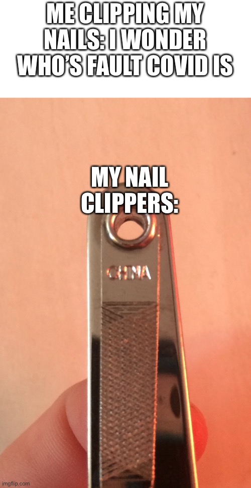 My nail clippers have their own mind | ME CLIPPING MY NAILS: I WONDER WHO’S FAULT COVID IS; MY NAIL CLIPPERS: | image tagged in covid,wait what,barney will eat all of your delectable biscuits,imgflip | made w/ Imgflip meme maker