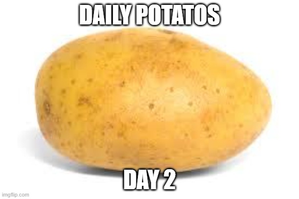 Potato | DAILY POTATOS; DAY 2 | image tagged in potato | made w/ Imgflip meme maker