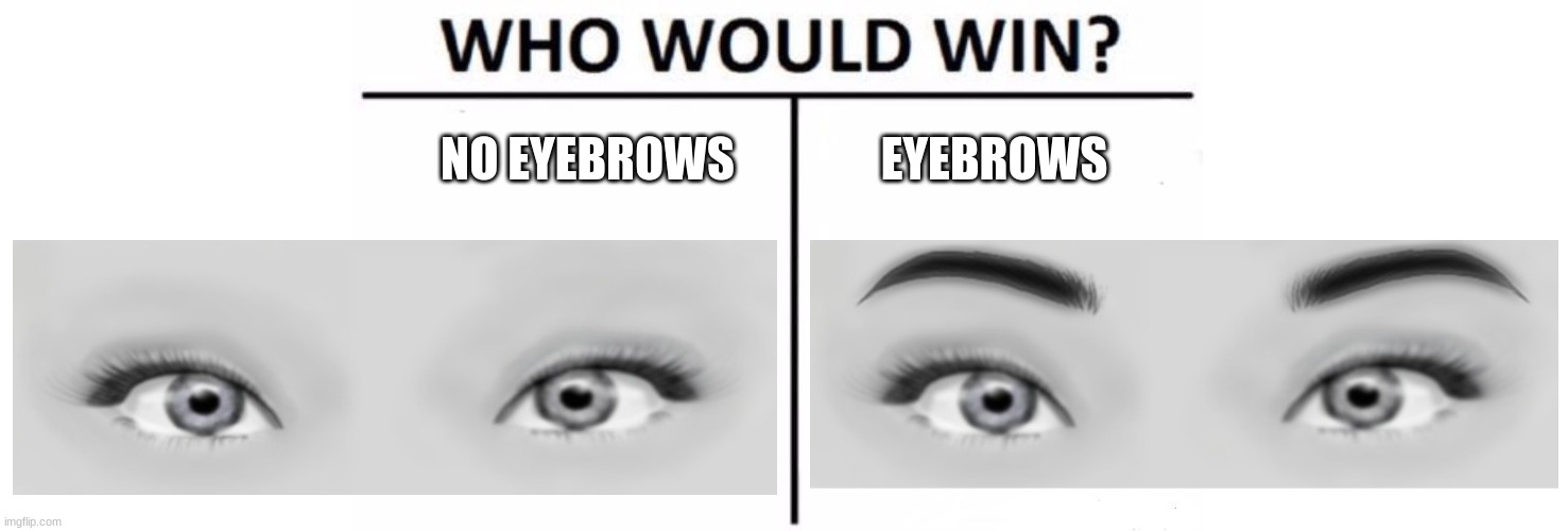 Which is better? | NO EYEBROWS; EYEBROWS | image tagged in blank white template,memes,who would win | made w/ Imgflip meme maker