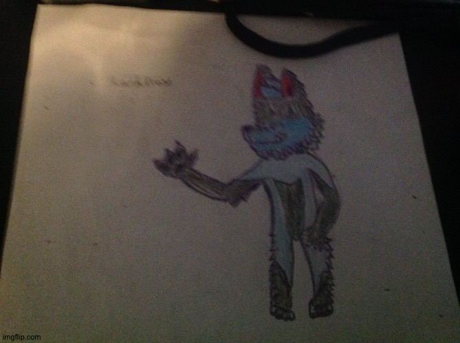 My new fursona, Larkfrost. (Inspired by yt furry floopi) | image tagged in fursona | made w/ Imgflip meme maker