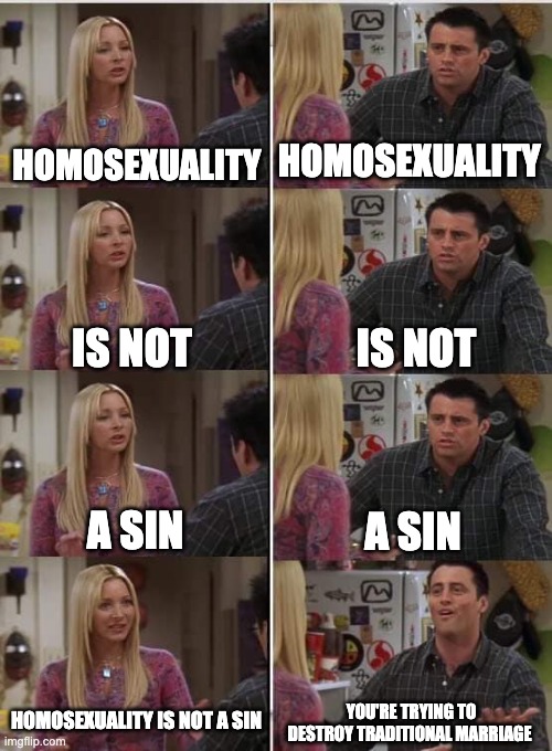 Phoebe Joey | HOMOSEXUALITY; HOMOSEXUALITY; IS NOT; IS NOT; A SIN; A SIN; HOMOSEXUALITY IS NOT A SIN; YOU'RE TRYING TO DESTROY TRADITIONAL MARRIAGE | image tagged in phoebe joey | made w/ Imgflip meme maker