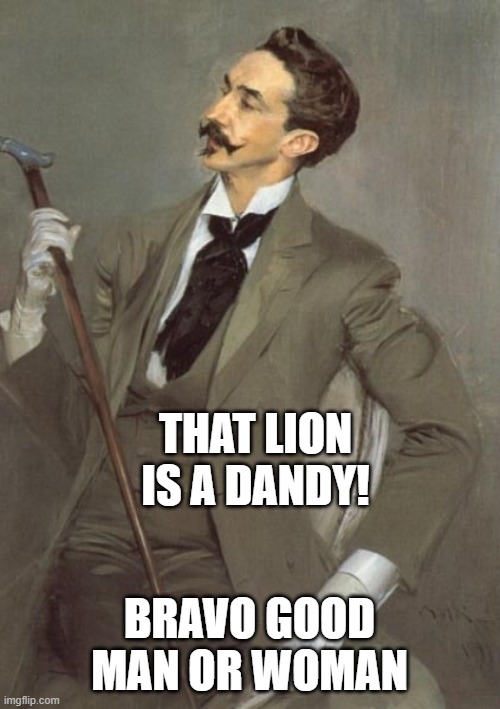 dandy | THAT LION IS A DANDY! BRAVO GOOD MAN OR WOMAN | image tagged in dandy | made w/ Imgflip meme maker