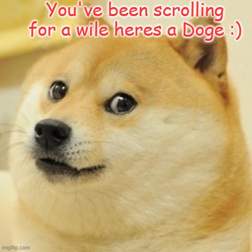 You've been scrolling for a wile here's a doge | You've been scrolling for a wile heres a Doge :) | image tagged in memes,doge | made w/ Imgflip meme maker