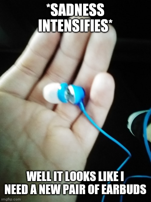 Damn if I had a penny for ever pixel in this picture I would have like 5 pennies | *SADNESS INTENSIFIES*; WELL IT LOOKS LIKE I NEED A NEW PAIR OF EARBUDS | made w/ Imgflip meme maker