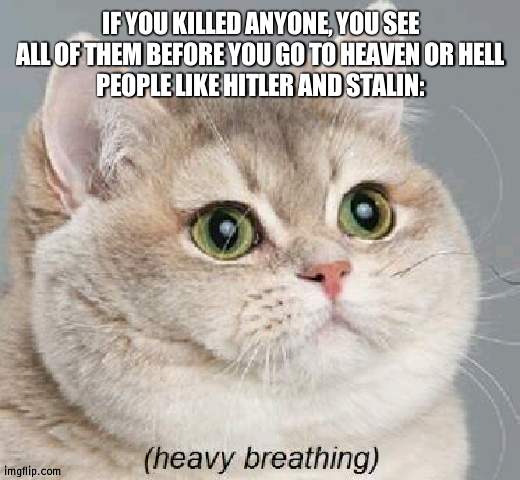 Some say they are still with those they killed | IF YOU KILLED ANYONE, YOU SEE ALL OF THEM BEFORE YOU GO TO HEAVEN OR HELL
PEOPLE LIKE HITLER AND STALIN: | image tagged in memes,heavy breathing cat,ww2 | made w/ Imgflip meme maker