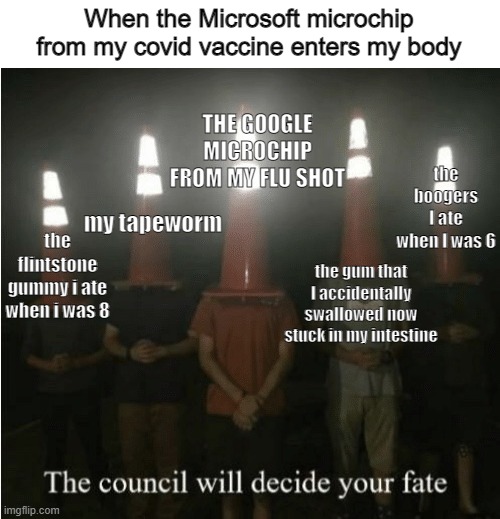 b | When the Microsoft microchip from my covid vaccine enters my body; THE GOOGLE MICROCHIP FROM MY FLU SHOT; the boogers I ate when I was 6; my tapeworm; the flintstone gummy i ate when i was 8; the gum that I accidentally swallowed now stuck in my intestine | image tagged in the council will decide your fate,covid-19 | made w/ Imgflip meme maker