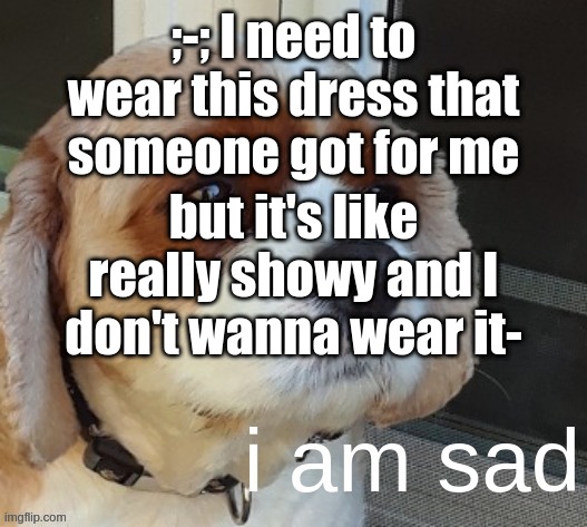 t f d o I d o - I don't wanna be rood to the guests who got me it ;-; | ;-; I need to wear this dress that someone got for me; but it's like really showy and I don't wanna wear it- | image tagged in i am sad narwhal doge | made w/ Imgflip meme maker
