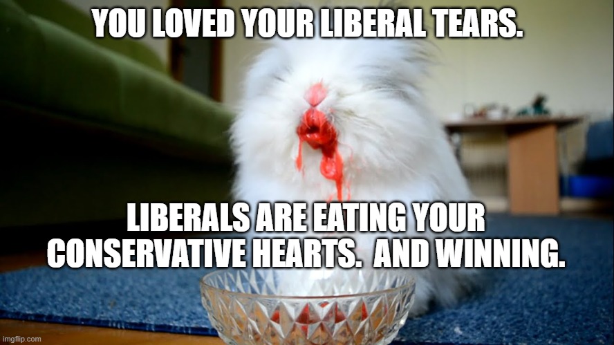 Killer bunny | YOU LOVED YOUR LIBERAL TEARS. LIBERALS ARE EATING YOUR CONSERVATIVE HEARTS.  AND WINNING. | image tagged in killer bunny | made w/ Imgflip meme maker