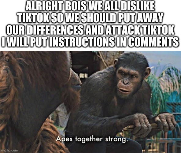 this is a call too action imgflip will you take up this burden? | ALRIGHT BOIS WE ALL DISLIKE TIKTOK SO WE SHOULD PUT AWAY OUR DIFFERENCES AND ATTACK TIKTOK I WILL PUT INSTRUCTIONS IN COMMENTS | image tagged in ape together strong,tik tok sucks | made w/ Imgflip meme maker