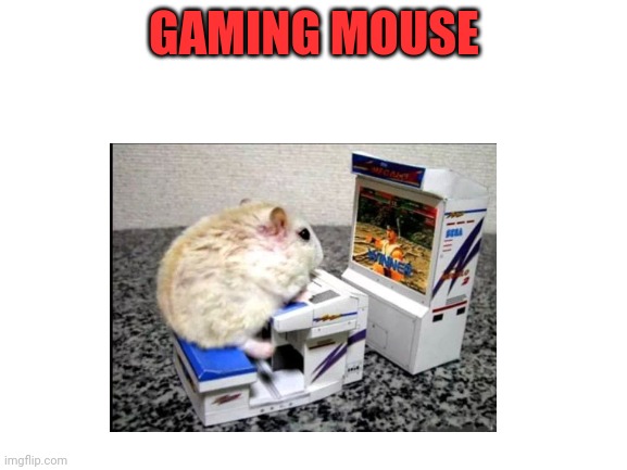 XD | GAMING MOUSE | image tagged in lol | made w/ Imgflip meme maker