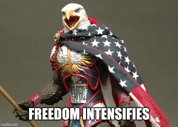 Patriotic Defender Eagle Of America | FREEDOM INTENSIFIES | image tagged in patriotic defender eagle of america | made w/ Imgflip meme maker