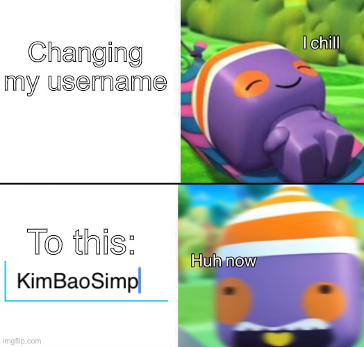 Don’t worry, I didn’t actually change it to that lol | Changing my username; To this: | image tagged in i chill | made w/ Imgflip meme maker