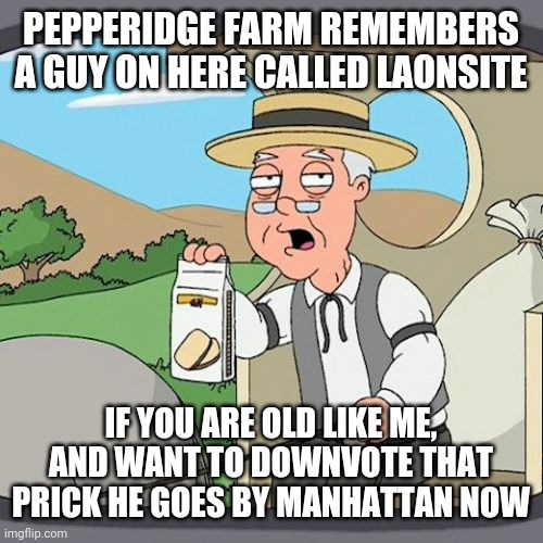 Pepperidge Farm Remembers Meme | PEPPERIDGE FARM REMEMBERS A GUY ON HERE CALLED LAONSITE; IF YOU ARE OLD LIKE ME, AND WANT TO DOWNVOTE THAT PRICK HE GOES BY MANHATTAN NOW | image tagged in memes,pepperidge farm remembers | made w/ Imgflip meme maker