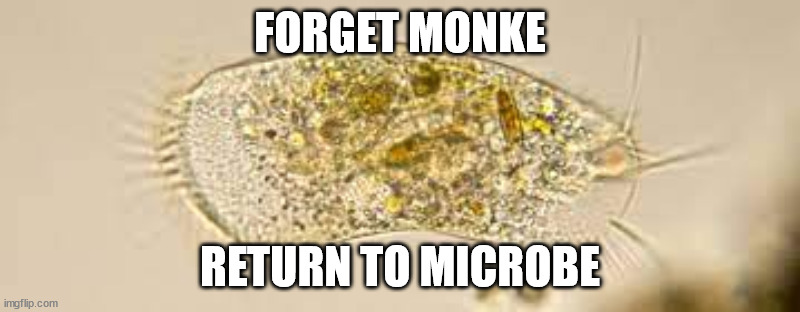 time to return | FORGET MONKE; RETURN TO MICROBE | image tagged in funny,original meme | made w/ Imgflip meme maker