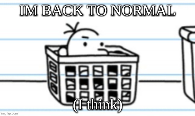idk what the fuck I was thinking- | IM BACK TO NORMAL; (I think) | made w/ Imgflip meme maker