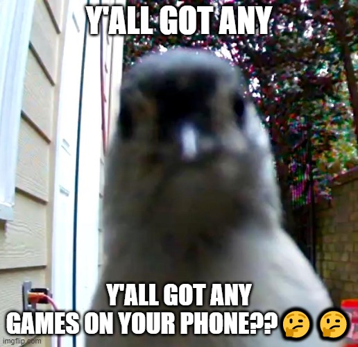 any games on your phone |  Y'ALL GOT ANY; Y'ALL GOT ANY GAMES ON YOUR PHONE??🤔🤔 | image tagged in bird,memes,games,phone,ironic,you got any games on your phone | made w/ Imgflip meme maker