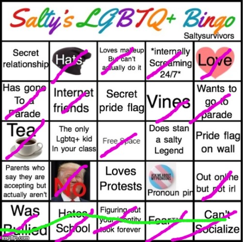 The Pride Bingo | image tagged in the pride bingo | made w/ Imgflip meme maker