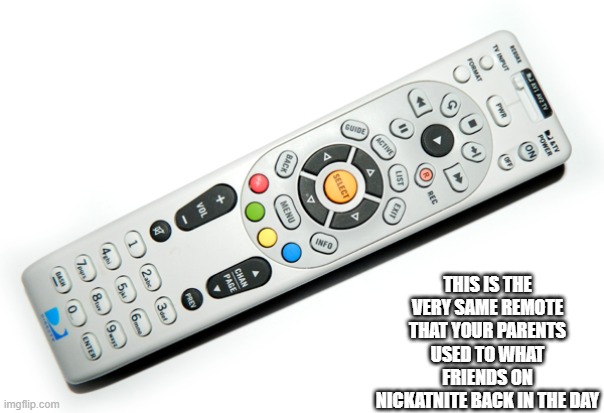back when the internet was just a speck of dust | THIS IS THE VERY SAME REMOTE THAT YOUR PARENTS USED TO WHAT FRIENDS ON NICKATNITE BACK IN THE DAY | image tagged in dust,tv,remote control,nickelodeon,friends,back in my day | made w/ Imgflip meme maker