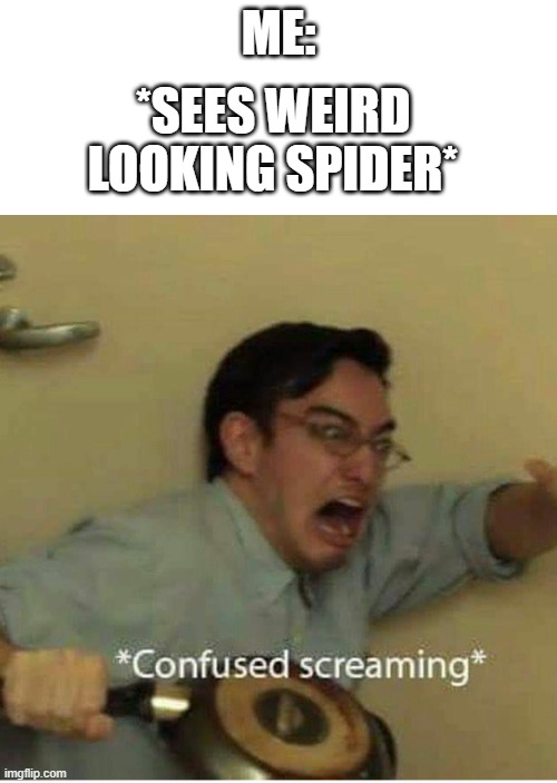 confused screaming | *SEES WEIRD LOOKING SPIDER*; ME: | image tagged in confused screaming | made w/ Imgflip meme maker