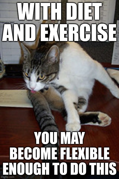 You know you've thought about it | WITH DIET AND EXERCISE; YOU MAY BECOME FLEXIBLE ENOUGH TO DO THIS | image tagged in cat licking butt | made w/ Imgflip meme maker