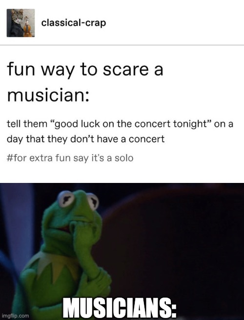 I found this on the internet (credit goes to the original maker), but added an unnecessary Kermit pic at the bottom. | MUSICIANS: | image tagged in nervous kermit,classical music,so true,music | made w/ Imgflip meme maker