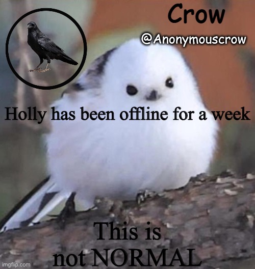 Anonymouscrow announce | Holly has been offline for a week; This is not NORMAL | image tagged in anonymouscrow announce | made w/ Imgflip meme maker