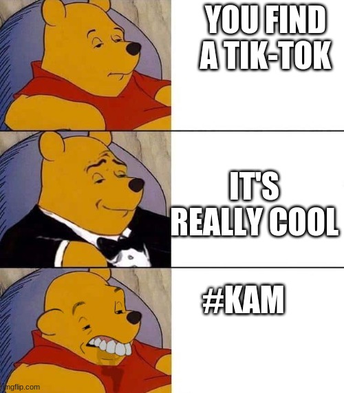 Tuxedo winnie the pooh derpy | YOU FIND A TIK-TOK; IT'S REALLY COOL; #KAM | image tagged in tuxedo winnie the pooh derpy | made w/ Imgflip meme maker